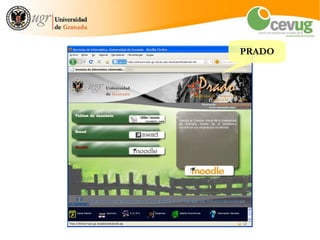 PRADO
 