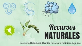 NATURALES
Recursos
Caterina Galafassi, Camila Peralta y Felicitas Aguirre
 
