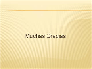 Muchas Gracias 
