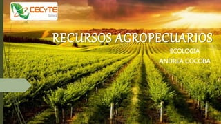RECURSOS AGROPECUARIOS
ECOLOGIA
ANDREA COCOBA
 