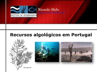 Recursos algológicos em Portugal
Ricardo Melo
algologia.aplicada@fc.ul.pt
 