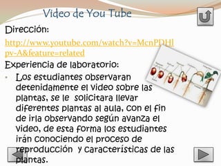 Video de You Tube
Dirección:
http://www.youtube.com/watch?v=McnPDHl
pv-A&feature=related
Experiencia de laboratorio:
• Los estudiantes observaran
   detenidamente el video sobre las
   plantas, se le solicitara llevar
   diferentes plantas al aula, con el fin
   de irla observando según avanza el
   video, de esta forma los estudiantes
   irán conociendo el proceso de
   reproducción y características de las
   plantas.
 