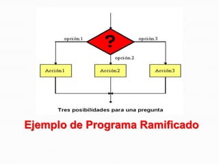 Ejemplo de Programa Ramificado
 