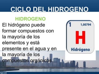 CICLO DEL HIDROGENO
HIDROGENO
El hidrógeno puede
formar compuestos con
la mayoría de los
elementos y está
presente en el agua y en
la mayoría de los
compuestos orgánicos.
 