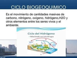 CICLO BIOGEOQUIMICO
Es el movimiento de cantidades masivas de
carbono, nitrógeno, oxígeno, hidrógeno,H2O y
otros elementos entre los seres vivos y el
ambiente.
 