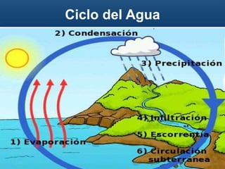 Ciclo del Agua
 