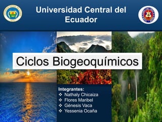 Universidad Central del
Ecuador
Integrantes:
 Nathaly Chicaiza
 Flores Maribel
 Génesis Vaca
 Yessenia Ocaña
Ciclos Biogeoquímicos
 
