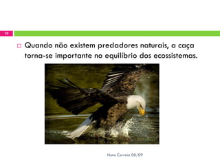 Recursos BiolóGicos