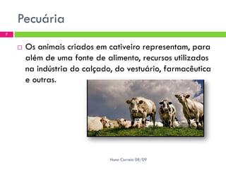 Recursos BiolóGicos