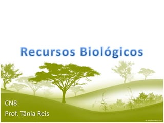 Recursos Biológicos CN8 Prof. Tânia Reis 