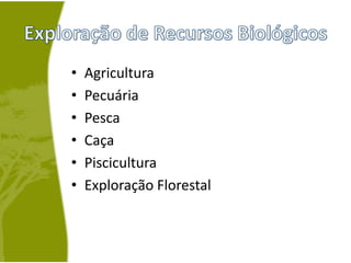 Exploração de Recursos BiológicosAgriculturaPecuáriaPescaCaçaPisciculturaExploração Florestal