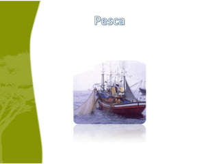 Pesca