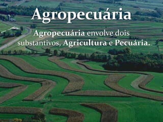 Agropecuária envolve dois
substantivos, Agricultura e Pecuária.
 