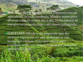 Benefícios: Boa parte dos nossos alimentos vem da
 agricultura, os mais saudáveis. Matéria-prima para
 diversas coisa do nossos dia-a-dia. Fonte natural de
 energia e ervas medicinais e até menos paisagismo.

CONTUDO: Não deve ser esquecido que são
 recursos esgotáveis, ou seja, acabaram se não
 houver um cuidado certo com a terra, para
 continuar sendo um recurso renovável e possamos
 aproveita-lo bem.
 