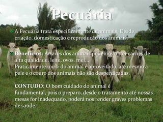  A Pecuária trata especificamente de animais. Desde
  criação, domesticação e reprodução dos animais.

 Benefícios: Através dos animais podemos obter carnes de
  alta qualidade, leite, ovos, mel...
  Praticamente 100% do animal é aproveitado, até mesmo a
  pele e o couro dos animais não são desperdiçadas.

  CONTUDO: O bom cuidado do animal é
  fundamental, pois o preparo, desde o tratamento até nossas
  mesas for inadequado, poderá nos render graves problemas
  de saúde.
 