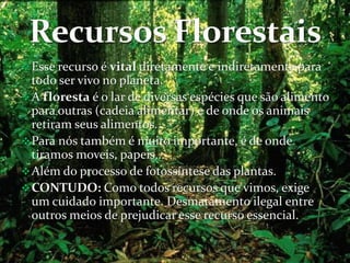  Esse recurso é vital diretamente e indiretamente para
  todo ser vivo no planeta.
 A floresta é o lar de diversas espécies que são alimento
  para outras (cadeia alimentar) e de onde os animais
  retiram seus alimentos.
 Para nós também é muito importante, é de onde
  tiramos moveis, papeis...
 Além do processo de fotossíntese das plantas.
 CONTUDO: Como todos recursos que vimos, exige
  um cuidado importante. Desmatamento ilegal entre
  outros meios de prejudicar esse recurso essencial.
 