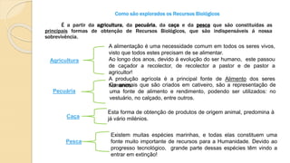 Como são explorados os Recursos Biológicos
É a partir da agricultura, da pecuária, da caça e da pesca que são constituídas as
principais formas de obtenção de Recursos Biológicos, que são indispensáveis á nossa
sobrevivência.
Agricultura
A alimentação é uma necessidade comum em todos os seres vivos,
visto que todos estes precisam de se alimentar.
Ao longo dos anos, devido á evolução do ser humano, este passou
de caçador a recolector, de recolector a pastor e de pastor a
agricultor!
A produção agrícola é a principal fonte de Alimento dos seres
humanos.
Pecuária
Os animais que são criados em cativeiro, são a representação de
uma fonte de alimento e rendimento, podendo ser utilizados: no
vestuário, no calçado, entre outros.
Caça
Esta forma de obtenção de produtos de origem animal, predomina à
já vário milénios.
Pesca
Existem muitas espécies marinhas, e todas elas constituem uma
fonte muito importante de recursos para a Humanidade. Devido ao
progresso tecnológico, grande parte dessas espécies têm vindo a
entrar em extinção!
 