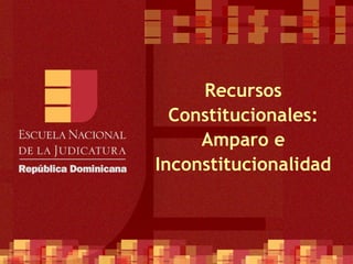 Recursos Constitucionales: Amparo e Inconstitucionalidad   
