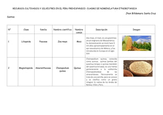 RECURSOS CULTIVADOS Y SILVESTRES EN EL PERU PREHISPANICO- CUADRO DE NOMENCLATURA ETNOBOTANICA
Jhon Billdemaro Santa Cruz
Santos
N° Clase familia Nombre científico Nombre
común
Descripción Imagen
1 Liliopsida Poaceae Zea mays Maiz
Zea mays, el maíz, es una gramínea
anual originaria de Mesoamérica.
Su domesticación se inició hace 9
mil años aproximadamente en el
eje neovolcanico de México, y fue
introducida en Europa en el siglo
XVII.
2 Magnoliopsida Amaranthaceae Chenopodium
quinoa
Quinua
Chenopodium quinoa, conocida
como quinua, quínoa (ambas del
quechua kinwa) o quinoa (también
del quechua kinuwa), es una hierba
perteneciente a la subfamilia
Chenopodioideae de las
amarantáceas. Técnicamente se
trata de una semilla, pero se conoce
y se clasifica como un grano
integral. Es nativa de los Andes de
Bolivia, Chile y Perú.
 