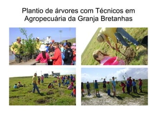 Plantio de árvores com Técnicos em Agropecuária da Granja Bretanhas 