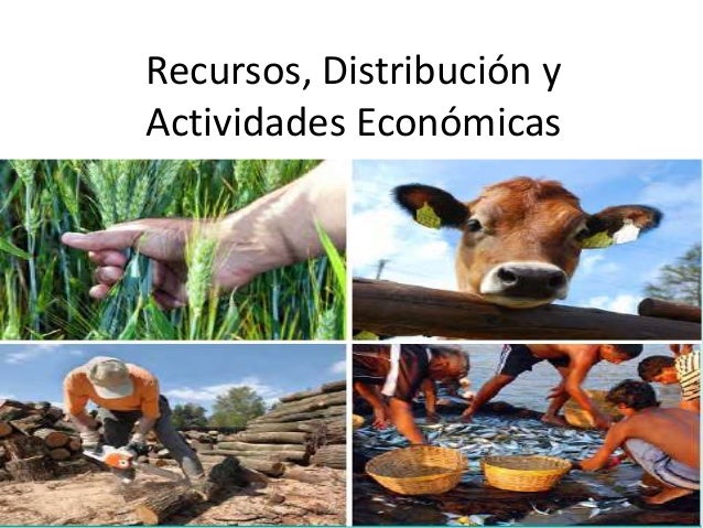 Resultado de imagen para actividades economicas