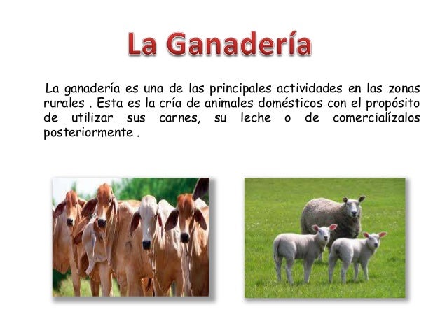Recursos, Distribución y Actividades Económicas