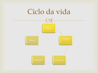 Ciclo da vida

Nasce

Morre

Reproduz

Cresce

Amadurece

 
