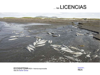 EECCOOSSIISSTTEEMMAA REA + licencia equivocada 
idea de Xavier Ochoa 
… las LLIICCEENNCCIIAASS 
licencias... 
REA 
 