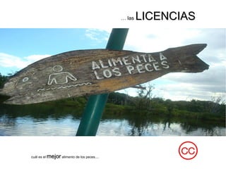 … las LICENCIASLICENCIAS
cuál es el mejormejor alimento de los peces....
 