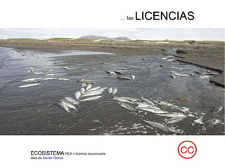 ECOSISTEMAECOSISTEMA REA + licencia equivocada
idea de Xavier Ochoa
… las LICENCIASLICENCIAS
 