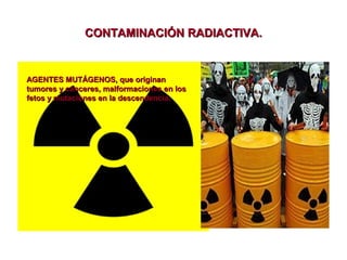 CONTAMINACIÓN RADIACTIVA.

AGENTES MUTÁGENOS, que originan
tumores y cánceres, malformaciones en los
fetos y mutaciones en la descendencia.

 