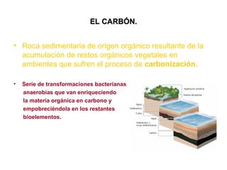 EL CARBÓN.
• Roca sedimentaria de origen orgánico resultante de la
acumulación de restos orgánicos vegetales en
ambientes que sufren el proceso de carbonización.
•

Serie de transformaciones bacterianas
anaerobias que van enriqueciendo
la materia orgánica en carbono y
empobreciéndola en los restantes
bioelementos.

 