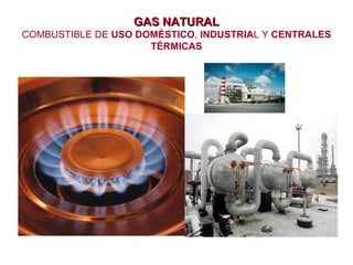 GAS NATURAL
COMBUSTIBLE DE USO DOMÉSTICO, INDUSTRIAL Y CENTRALES
TÉRMICAS

 