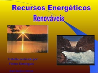 Recursos Energéticos  Renováveis Trabalho realizado por: Fátima   Domingues Ano lectivo  2003/04 