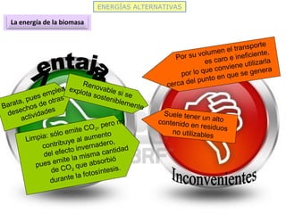 ENERGÍAS ALTERNATIVAS
La energía de la biomasa
Barata, pues emplea
desechos de otras
actividades
Renovable si se
explota sosteniblemente
Limpia: sólo emite CO2
, pero no
contribuye al aumento
del efecto invernadero,
pues emite la misma cantidad
de CO2
que absorbió
durante la fotosíntesis.
Por su volumen el transporte
es caro e ineficiente,
por lo que conviene utilizarla
cerca del punto en que se genera
Suele tener un altocontenido en residuosno utilizables
 