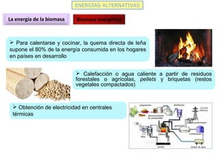 ENERGÍAS ALTERNATIVAS
La energía de la biomasa Biomasa energética
 Para calentarse y cocinar, la quema directa de leña
supone el 80% de la energía consumida en los hogares
en países en desarrollo
 Calefacción o agua caliente a partir de residuos
forestales o agrícolas, pellets y briquetas (restos
vegetales compactados)
 Obtención de electricidad en centrales
térmicas
 