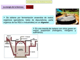 ENERGÍAS ALTERNATIVAS
La energía de la biomasa Biogás
 Se obtiene por fermentación anaerobia de restos
orgánicos (ganaderos, lodos de depuradoras, parte
orgánica de los RSU o industriales) en un digestor.
 Es una mezcla de metano con otros gases en
menor proporción (hidrógeno, nitrógeno y
sulfhídrico)
 