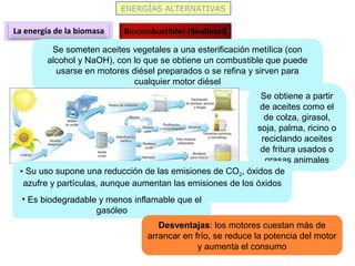 ENERGÍAS ALTERNATIVAS
La energía de la biomasa Biocombustibles (Biodiesel)
Se someten aceites vegetales a una esterificación metílica (con
alcohol y NaOH), con lo que se obtiene un combustible que puede
usarse en motores diésel preparados o se refina y sirven para
cualquier motor diésel
Se obtiene a partir
de aceites como el
de colza, girasol,
soja, palma, ricino o
reciclando aceites
de fritura usados o
grasas animales
• Su uso supone una reducción de las emisiones de CO2, óxidos de
azufre y partículas, aunque aumentan las emisiones de los óxidos
de nitrógeno
• Es biodegradable y menos inflamable que el
gasóleo
Desventajas: los motores cuestan más de
arrancar en frío, se reduce la potencia del motor
y aumenta el consumo
 