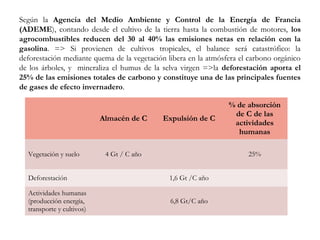 Según la Agencia del Medio Ambiente y Control de la Energía de Francia
(ADEME), contando desde el cultivo de la tierra hasta la combustión de motores, los
agrocombustibles reducen del 30 al 40% las emisiones netas en relación con la
gasolina. => Si provienen de cultivos tropicales, el balance será catastrófico: la
deforestación mediante quema de la vegetación libera en la atmósfera el carbono orgánico
de los árboles, y mineraliza el humus de la selva virgen =>la deforestación aporta el
25% de las emisiones totales de carbono y constituye una de las principales fuentes
de gases de efecto invernadero.
Almacén de C Expulsión de C
% de absorción
de C de las
actividades
humanas
Vegetación y suelo 4 Gt / C año 25%
Deforestación 1,6 Gt /C año
Actividades humanas
(producción energía,
transporte y cultivos)
6,8 Gt/C año
 