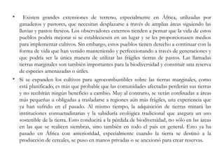  Existen grandes extensiones de terreno, especialmente en África, utilizadas por
ganaderos y pastores, que necesitan desplazarse a través de amplias áreas siguiendo las
lluvias y pastos frescos. Los observadores externos tienden a pensar que la vida de estos
pueblos podría mejorar si se estableciesen en un lugar y se les proporcionasen medios
para implementar cultivos. Sin embargo, estos pueblos tienen derecho a continuar con la
forma de vida que han venido manteniendo y perfeccionando a través de generaciones y
que podría ser la única manera de utilizar las frágiles tierras de pastos. Las llamadas
tierras marginales son también importantes para la biodiversidad y constituir una reserva
de especies amenazadas o útiles.
 Si se expanden los cultivos para agrocombustibles sobre las tierras marginales, como
está planificado, es más que probable que las comunidades afectadas perderán sus tierras
y no recibirán ningún beneficio a cambio. Muy al contrario, se verán confinadas a áreas
más pequeñas u obligadas a trasladarse a regiones aún más frágiles, una experiencia que
ya han sufrido en el pasado. Al mismo tiempo, la adquisición de tierras minará las
instituciones consuetudinarias y la sabiduría ecológica tradicional que asegura un uso
sostenible de la tierra. Esto conducirá a la pérdida de biodiversidad, no sólo en las áreas
en las que se realicen siembras, sino también en todo el país en general. Esto ya ha
pasado en África con anterioridad, especialmente cuando la tierra se destinó a la
producción de cereales, se puso en manos privadas o se anexionó para crear reservas.
 