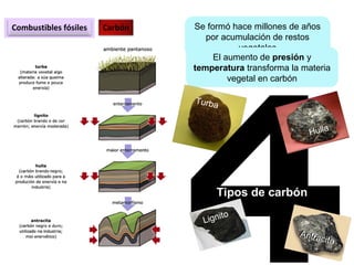 Combustibles fósiles Carbón Se formó hace millones de años
por acumulación de restos
vegetales
El aumento de presión y
temperatura transforma la materia
vegetal en carbón
Turba
4Lignito
Tipos de carbón
Hulla
Antracita
Antracita
 