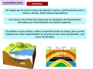 Combustibles fósiles
PETRÓLEO
Se origina por la muerte masiva del plancton marino y sedimentación junto a
cienos y arenas, dando barros sapropélicos.
Los cienos y las arenas dan rocas que se impregnan de hidrocarburos
(formados por la fermentación de materia orgánica).
El petróleo es poco denso y aflora a superficie donde se disipa, pero cuando
tropieza con rocas impermeables se acumula en las rocas subyacentes, que
sirven de almacén.
 