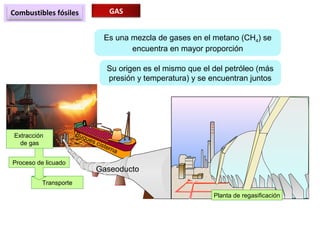Combustibles fósiles GAS
Es una mezcla de gases en el metano (CH4) se
encuentra en mayor proporción
Su origen es el mismo que el del petróleo (más
presión y temperatura) y se encuentran juntos
Transporte
Proceso de licuado
Extracción
de gas
Planta de regasificación
Buques cisterna
Gaseoducto
 