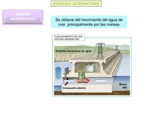 ENERGÍAS ALTERNATIVAS
ENERGÍA
MAREOMOTRIZ Se obtiene del movimiento del agua de
mar, principalmente por las mareas
Turbina
Generador
Marea
bajaCompuerta abierta
Embalse vaciándose de agua
Compuerta cerrada
Embalse lleno de aguaEmbalse llenándose de agua
Compuerta abierta
FUNCIONAMIENTO DE UNA
CENTRAL MAREMOTRIZ
Marea
alta
 