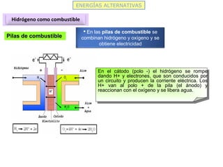 ENERGÍAS ALTERNATIVAS
Hidrógeno como combustible
Pilas de combustible
 En las pilas de combustible se
combinan hidrógeno y oxígeno y se
obtiene electricidad
En el cátodo (polo -) el hidrógeno se rompe
dando H+ y electrones, que son conducidos por
un circuito y producen la corriente eléctrica. Los
H+ van al polo + de la pila (el ánodo) y
reaccionan con el oxígeno y se libera agua.
 