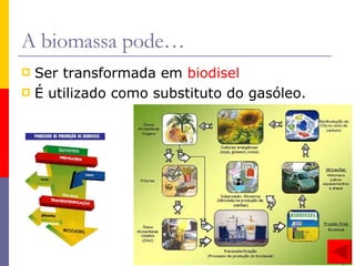 A biomassa pode… Ser transformada em  biodisel É utilizado como substituto do gasóleo. 