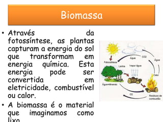 Biomassa
            Energia das Marés
• Através               da
  fotossíntese, as plantas
  capturam a energia do sol
  que transformam em
  energia química. Esta
  energia      pode    ser
  convertida            em
  eletricidade, combustível
  ou calor.
• A biomassa é o material
  que imaginamos como
 