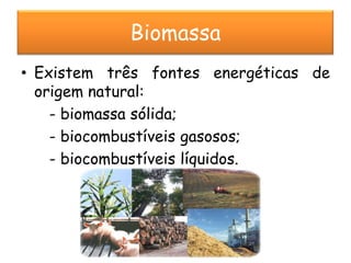 Biomassa
• Existem três fontes energéticas de
  origem natural:
    - biomassa sólida;
    - biocombustíveis gasosos;
    - biocombustíveis líquidos.
 