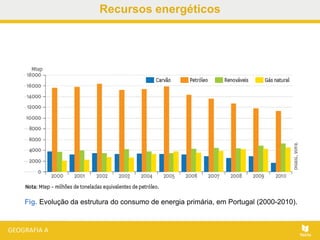 Recursos energéticos
Fig. Evolução da estrutura do consumo de energia primária, em Portugal (2000-2010).
 