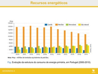 Recursos energéticos
Fig. Evolução da estrutura do consumo de energia primária, em Portugal (2000-2010).
 